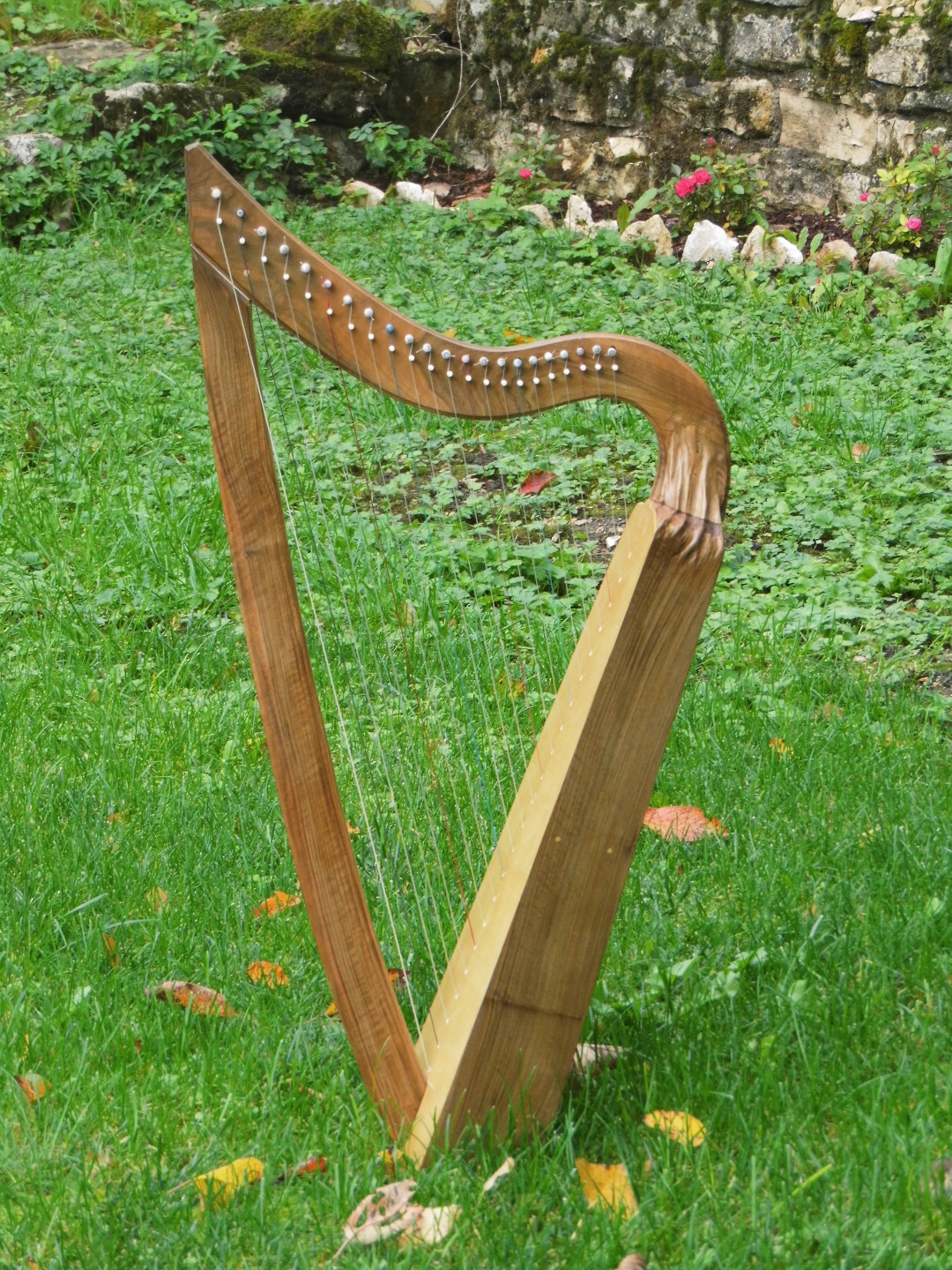harpe celtique location