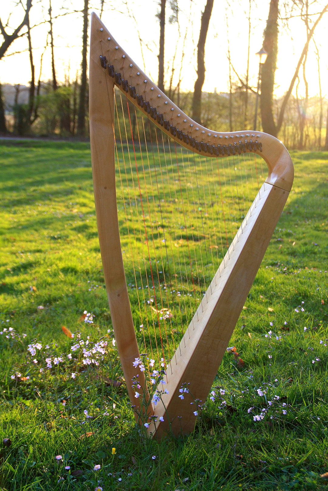 Harpe celtique