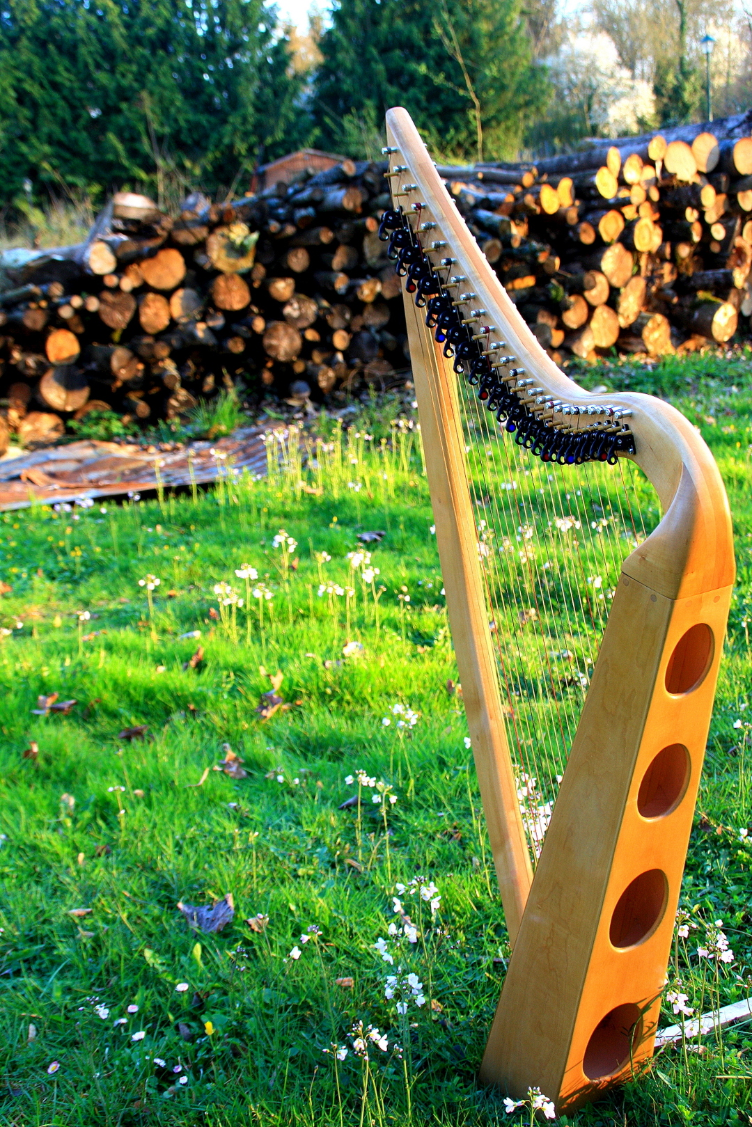 Harpe celtique