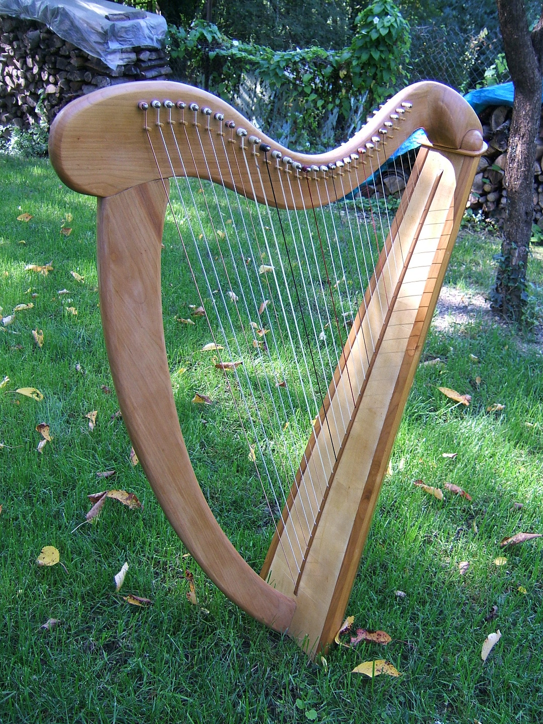 DSCF3130
