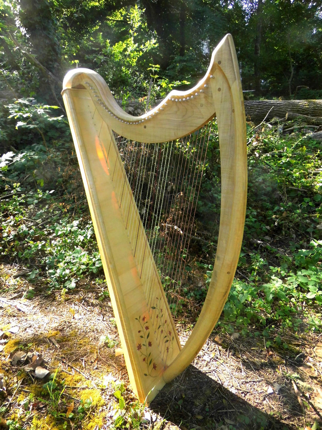 Harpe 40 cordes