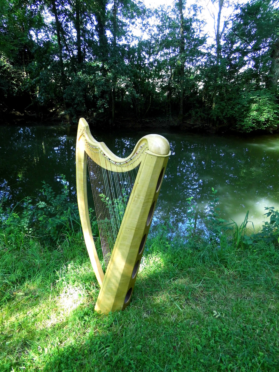 Harpe 40 cordes
