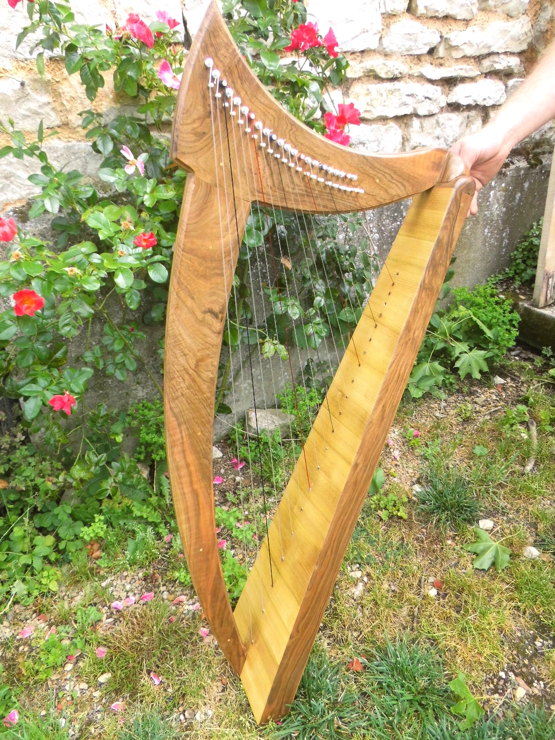 Harpe 22 cordes