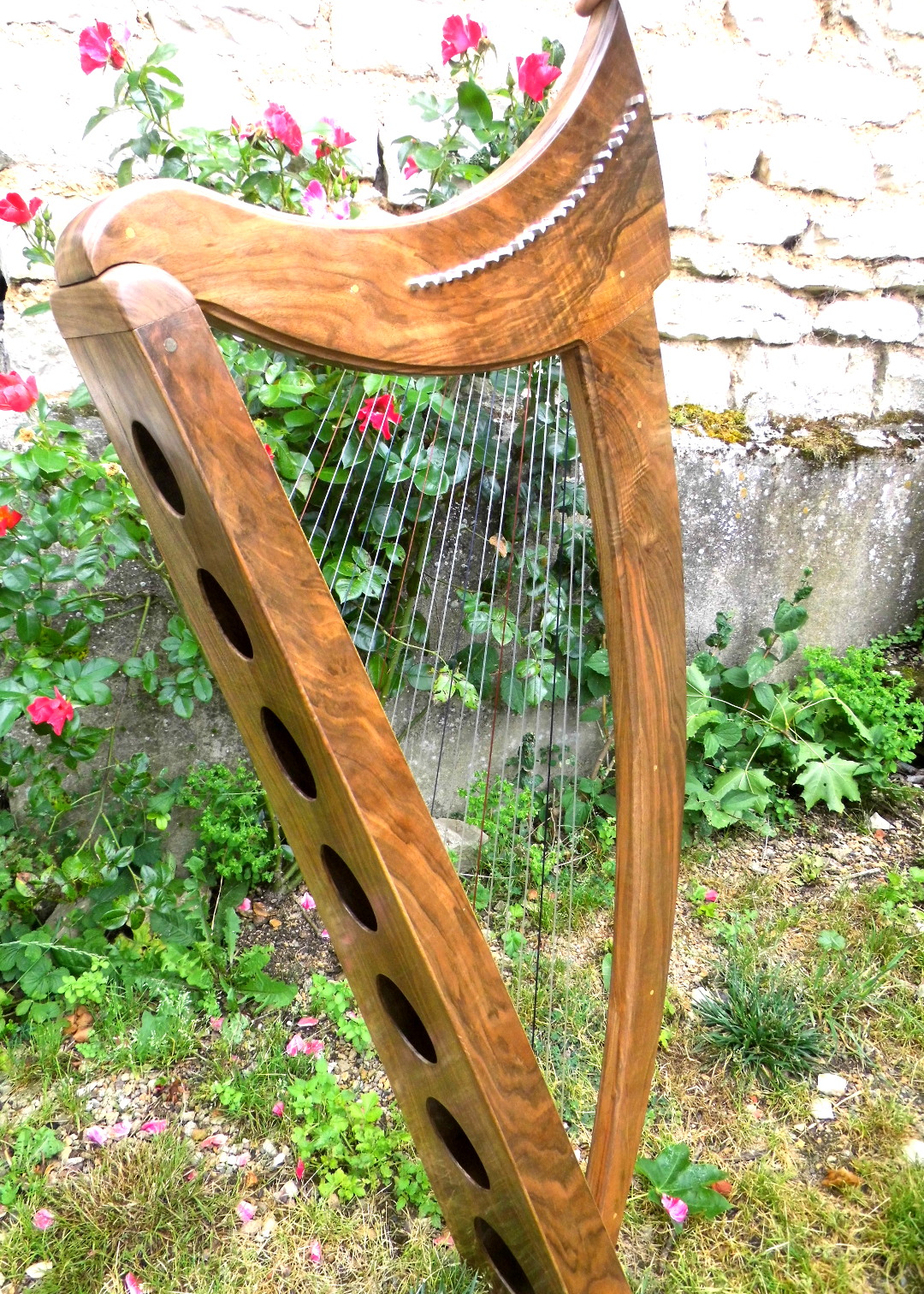 Harpe 22 cordes