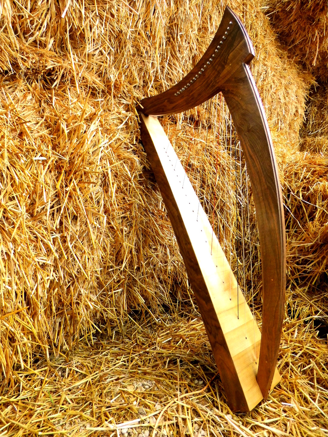 Harpe 22 cordes