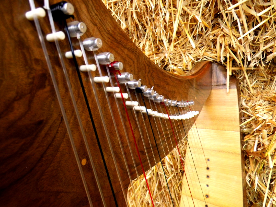Chevilles cordes sillet os harpe 22 cordes