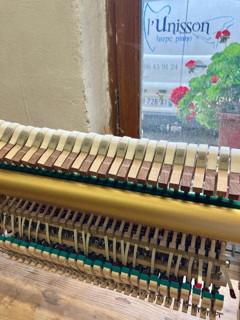 Installer des têtes de marteaux BECHSTEIN sur un piano YAMAHA 😮🫣 
Optimisation ou hérésie ???
.
A la suite de notre expérience, nous le voyons comme une bonification 🤗 
.
.
On s’explique : 
Les pianos YAMAHA sont très fiables structurellement et mécaniquement. Ce sont des instruments de travail très robustes, avec une bonne sonorité. Cependant, particulièrement sur les pianos droits, nous la trouvons toujours un peu trop claire ou métallique…
.
Alors, en atelier, on a tenté… 
De remplacer les têtes de marteaux YAMAHA par du BECHSTEIN, cette grande manufacture allemande qu’on ne présente plus…
.
Et bien, les têtes BECHSTEIN, sélectionnées puis percées avec une immense précision par @fj_vincent apportent la sonorité allemande que nous aimons tant 🥰
.
C’est un combo gagnant selon nous !!! 
Un son rond et chaleureux sur un piano fiable avec une mécanique réactive. 
Que demander de plus ? 😊

.
Plus de détails sur : 
https://lunisson.live/14126/piano-marteaux-bechstein/
.

@yamahapianosofficial @bechstein.official 
#piano #optimisation #yamahapiano #pianoyamaha #bechsteinpiano #pianobechstein #technicienpiano #pianotechnician #pianorestoration #restaurationdepianos #pianorepair #dijon #vesoul #chaumont #cotedor #hautesaone #hautemarne #bourgognefranchecomte