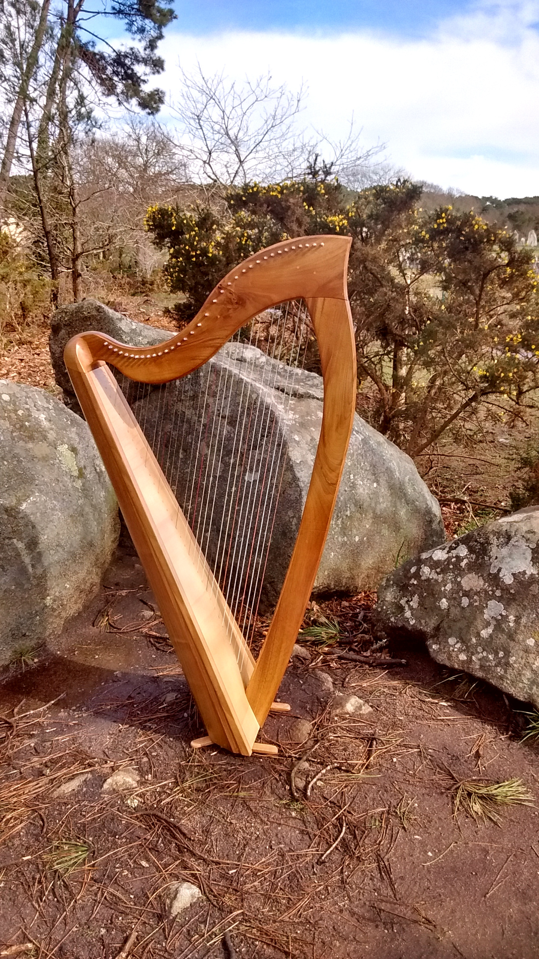 Harpe 34 cordes Ceridwen Harpe 34 cordes Ceridwen