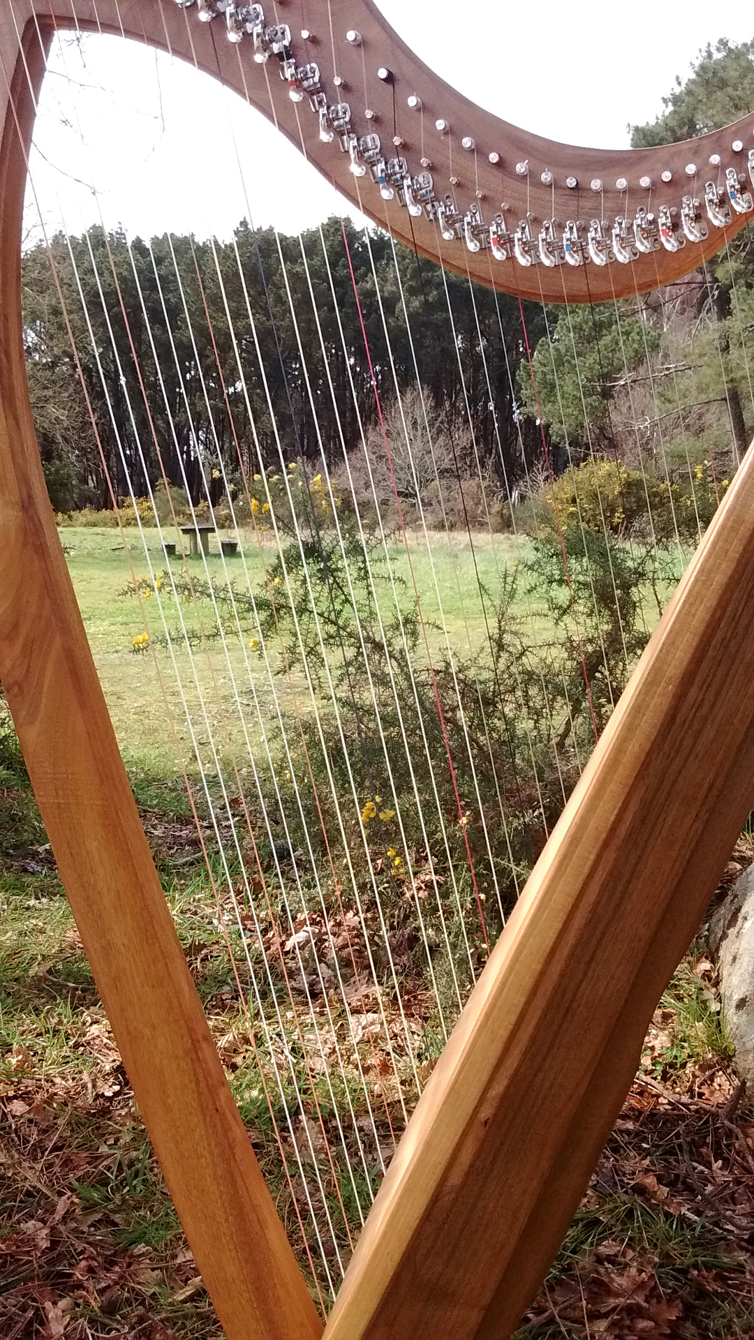 Harpe 34 cordes Ceridwen Harpe 34 cordes Ceridwen