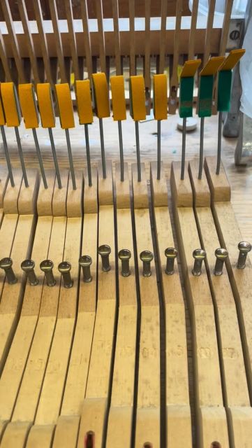 Le regarnissage des peaux d’attrapes est presque terminé !
.
👂 Entendez-vous la colle chaude qui « glougloute » en fond sonore ? 
Qu’est-ce que j’aime cette mélodie caractéristique de l’atelier !!! ☺️
.
.
✨Piano Erard modèle 0 de 1962 ✨

.

#piano #pianoerard #erard #erardpiano #restaurationdepiano #pianorestoration #pianotechnician #technicienpiano #restaurationdupatrimoine #pianoancien #madeinfrance #fabriqueenfrance #artısanat #metiersdart #bourgognefranchecomte #cotedor #hautemarne #hautesaone