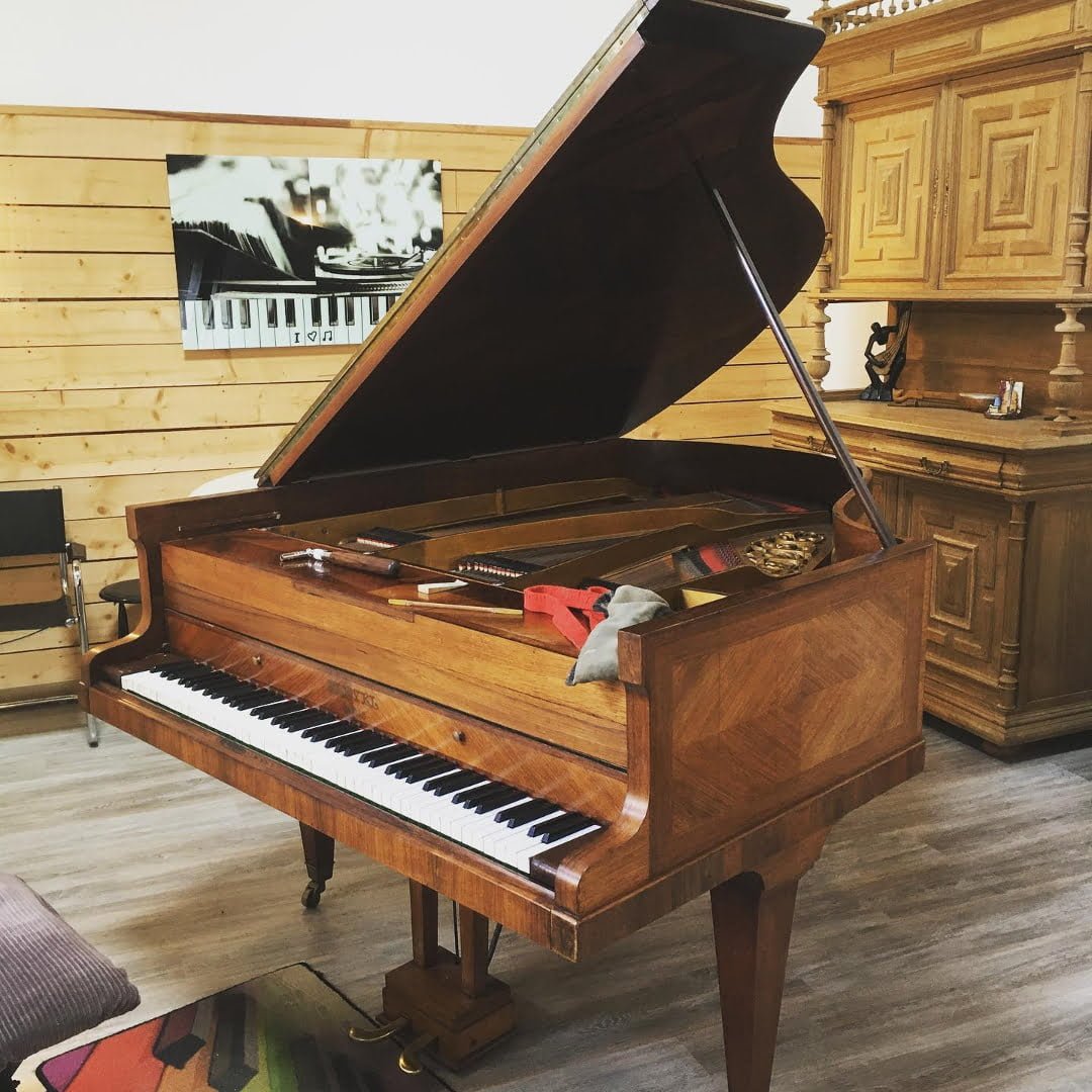 Pleyel Aurélien Mongey Vesoul