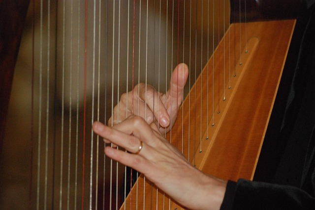 location harpe celtique classique occasion