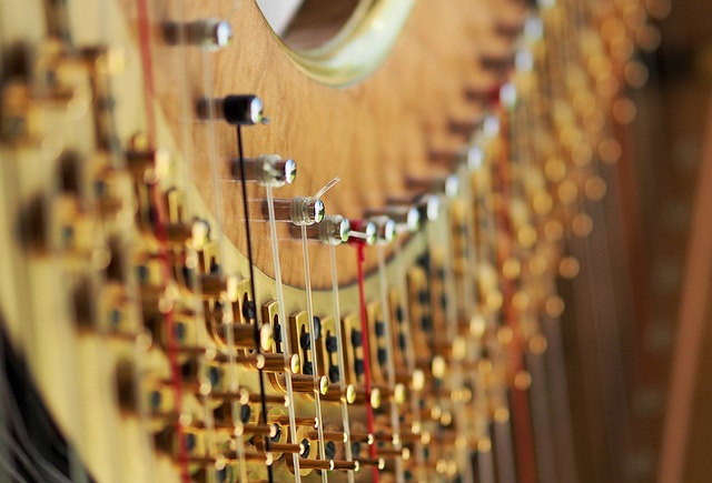pièces détachées harpe celtique classique